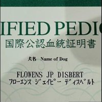 「フローエンス・ジェイピー・ディスベルト」