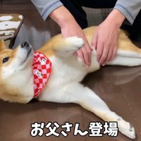 お父さんがナデナデしたら…