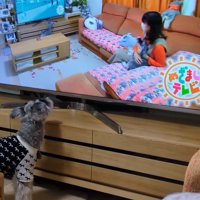 テレビに自分が出た時の風太くん7