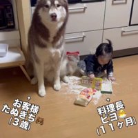 赤ちゃんがイタズラ♪