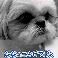 ニキビだったココちゃん