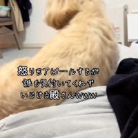 最強の構ってちゃん♡