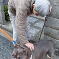 アメリカンブリーの小太郎ちゃん