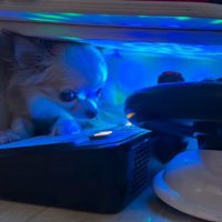 青いミラーボール
