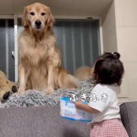 おからちゃんもぴかぴかに