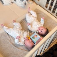 双子のそばで見守る2匹の犬