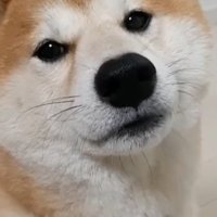 ふくふく