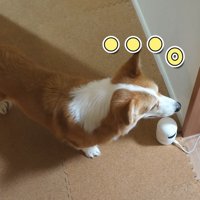 部屋の前でもじもじ…