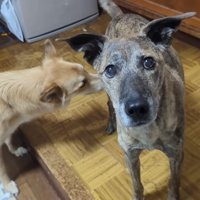 そばを離れません