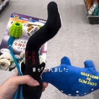 たくさんのおもちゃ