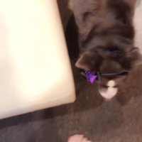 「置いて行かないで！」