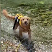 川遊びでニコニコ笑顔に♡