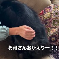 マリちゃんの熱烈歓迎8