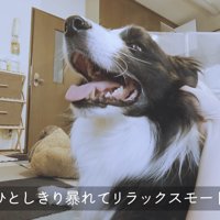 たっぷり暴れた後はリラックスモードに♪