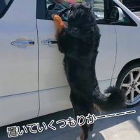「置いて行かないで！！」