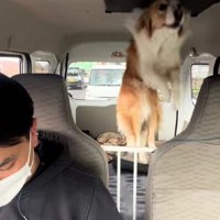 頭が当たってるよ…？