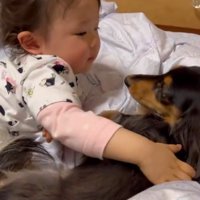 寄り添い合いながら眠ったり…