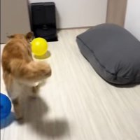 たくさん風船が出てきた時のさらちゃん7