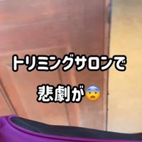 はるちゃん＆なつちゃんのお迎え