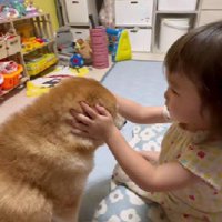 すずちゃんが気がかりで…