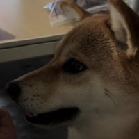 「アッ、アー」