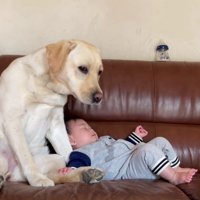 「あらら、大丈夫？」