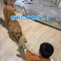 アルトくんと子どもたちの日常4