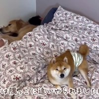 ベッド狭すぎ…！！