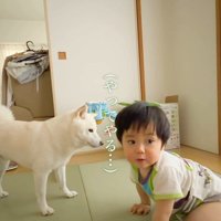 おまめちゃんと赤ちゃん4