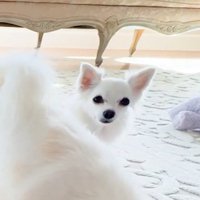 まさかの
