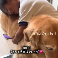 仲睦まじい2人にホッコリ