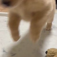 ちょっと低いけど渾身のジャンプ！！