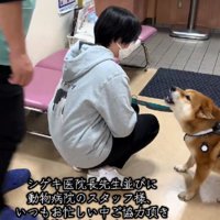 「お前はあっちいけ！！」