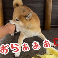 嫌すぎて激怒！