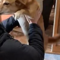 ハグ
