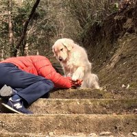 「大丈夫？」と手をツンツン