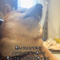 イタズラ中のぬん君4