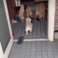 着々と食事場所へ移動