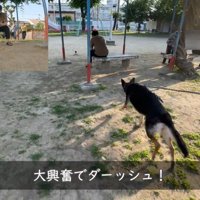 パパさんのもとへダッシュ！