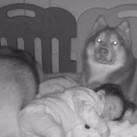 「ほら！ちゃんと寝たでしょ！！」