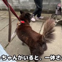 おばあちゃんが通り過ぎたらほっと一安心