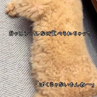 突然ソファの下に！