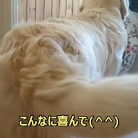 しっぽをフリフリ♪