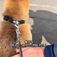 体をなでてくれた！！