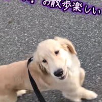 すぐに慣れちゃった♪