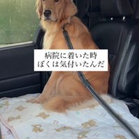 動物病院であることを確信