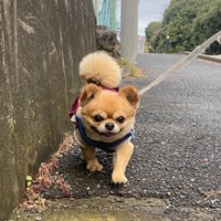 笑顔はとってもチャーミング！！