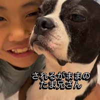 犬に頬ずりをする女の子