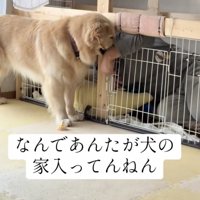 圧をかけていきます