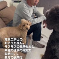 お父さんがわんこに話しているのは…